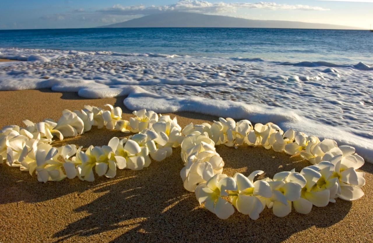 Mountain View Getaway, Free Parking And Beach Steps Away Honolulu Eksteriør billede