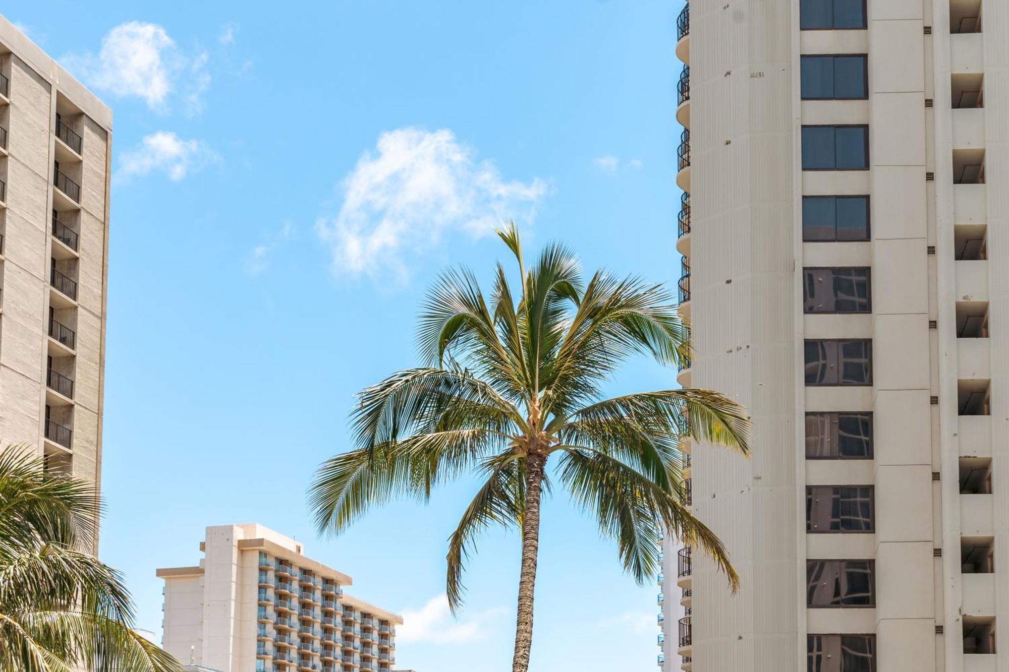 Mountain View Getaway, Free Parking And Beach Steps Away Honolulu Eksteriør billede