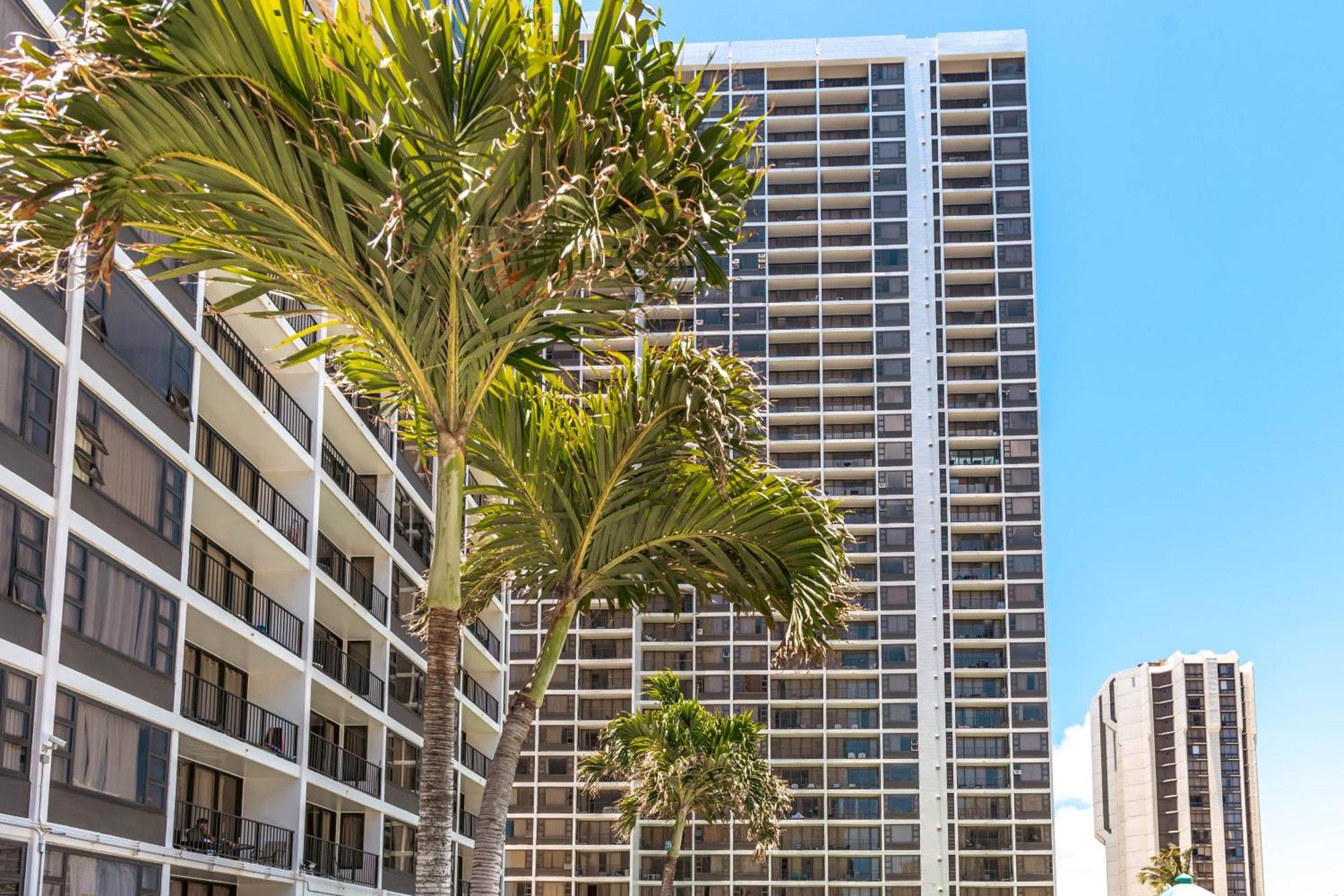 Mountain View Getaway, Free Parking And Beach Steps Away Honolulu Eksteriør billede